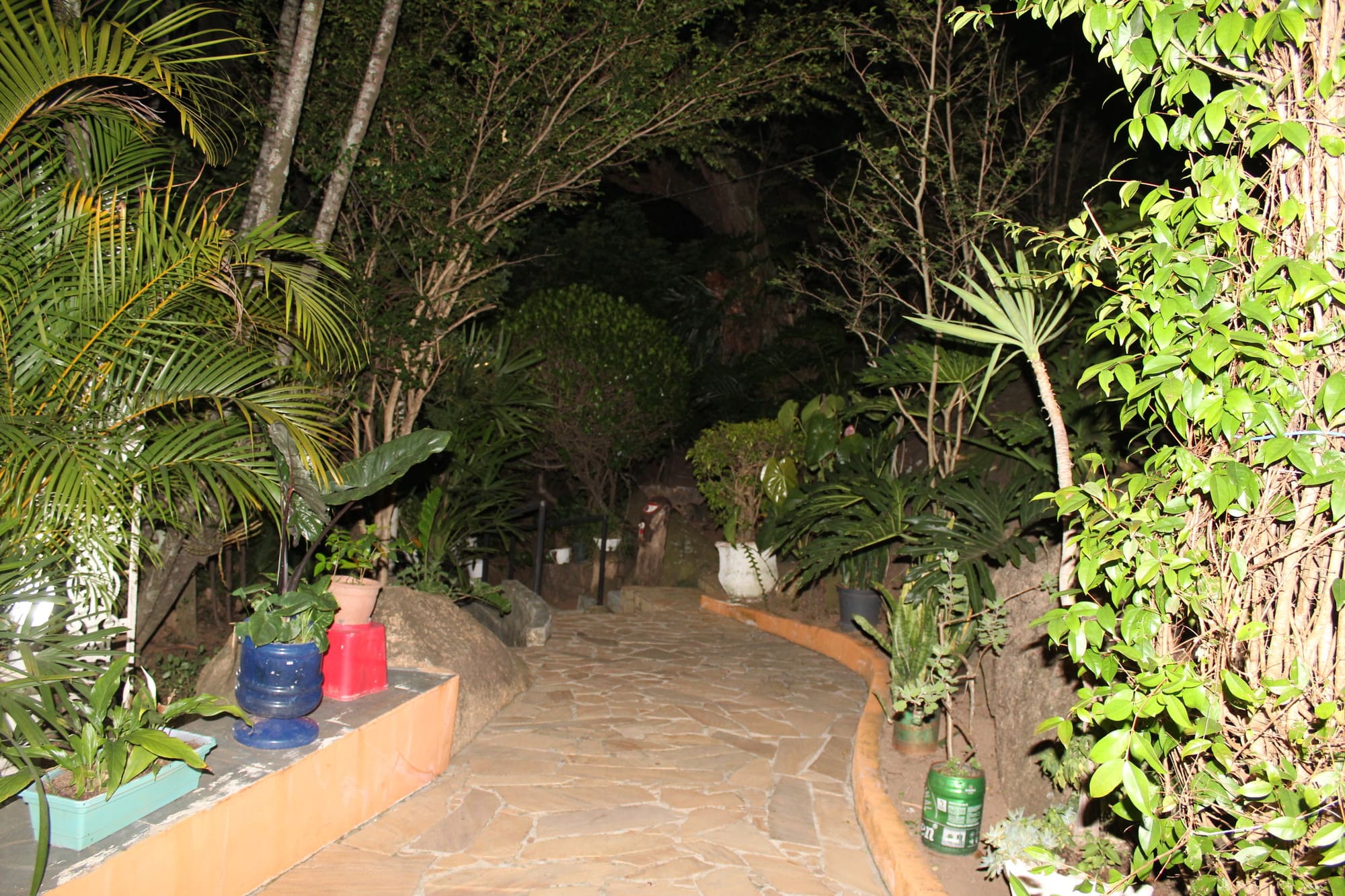 Galeria