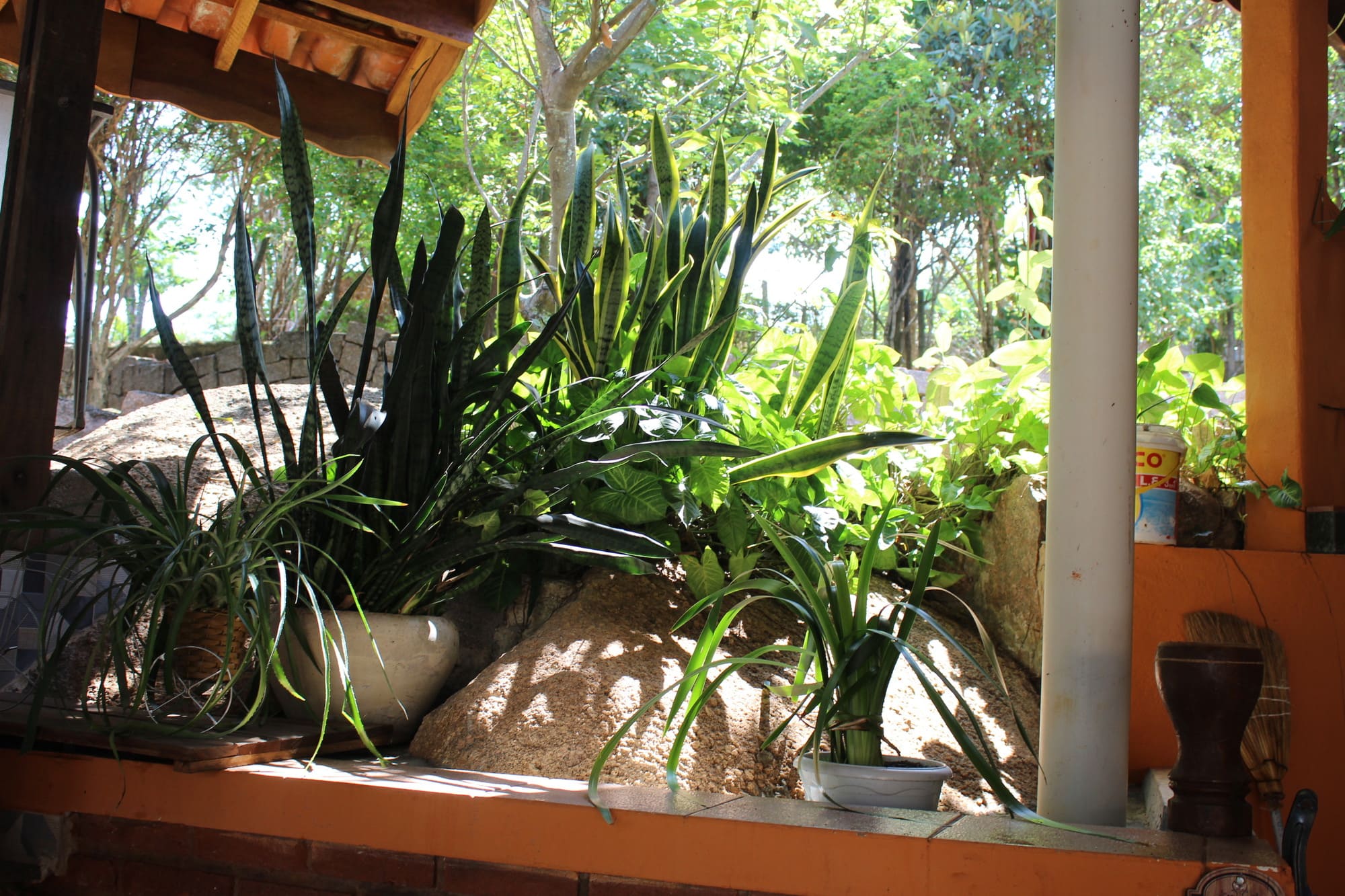 Galeria
